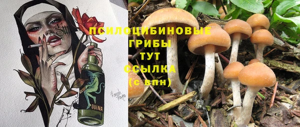 хмурый Ахтубинск